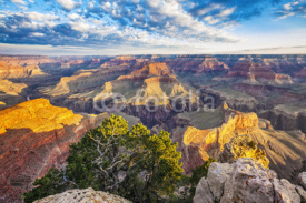 Fototapety View of Grand Canyon with morning light