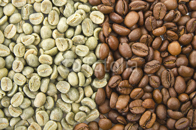 Coffee beans raw and toasted close up on the white