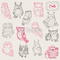Fototapety Various Owl Doodle Collection - hand drawn - in vector