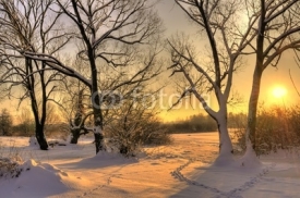 Naklejki Beautiful winter sunset with trees in the snow