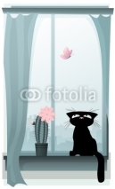 Fototapety Cute black kitty hunting for a butterfly