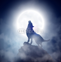 Fototapety Howling wolf