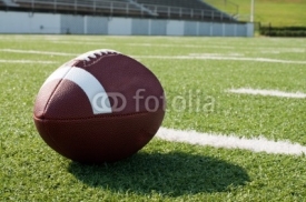 Naklejki Closeup of American Football on Field