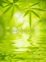 Naklejki Bamboo leaves