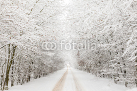 Naklejki Winter landscape with road surrounded by trees