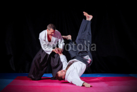 Naklejki Fight between two aikido fighters