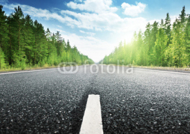Fototapety road in Russian forest