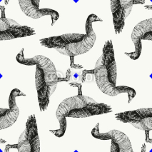 Fototapety Seamless pattern ducks walking.