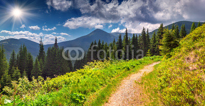 Colorful summer landscape in the mountains