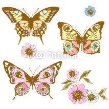 Naklejki butterflies design