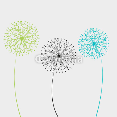 Vector illustration dandelion