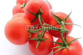 Naklejki Gros plan de la tomate