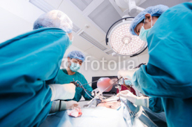 Obrazy i plakaty veterinarian doctor in operation room for laparoscopic surgical