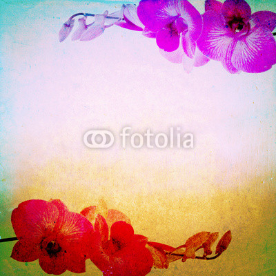 Lovely orchid background