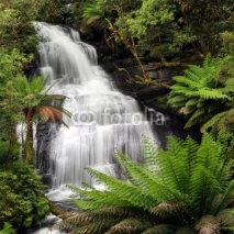 Naklejki Rainforest Waterfall