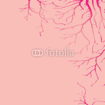 Fototapety Tree Concept Vector Background
