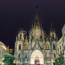 Fototapety The gothic Barcelona Cathedral at night, Spain