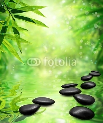 Zen Bamboo ,pebbles,sun and water.