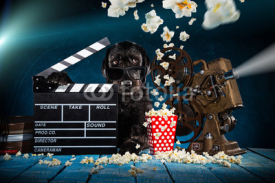 Black funny dog with old style movie projector.