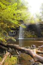 Fototapety Forest Falls, United Kingdom, England
