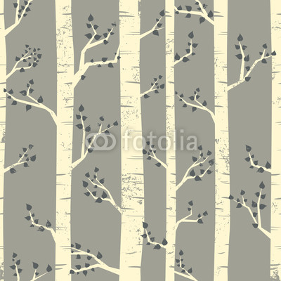 Birch Trees Background