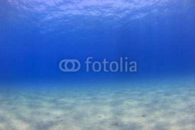 Underwater background - sunlight on ocean floor