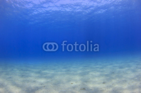 Obrazy i plakaty Underwater background - sunlight on ocean floor
