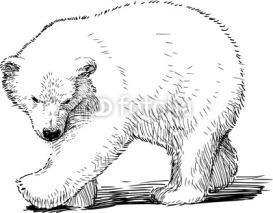 Naklejki little polar bear