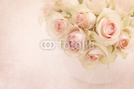Naklejki White roses