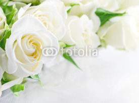 Naklejki Closeup of white roses