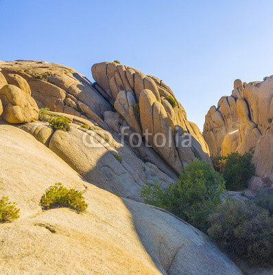 scenic Jumbo rock in Joshua Tree National Park