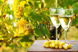 Fototapety Weinreben und Weißwein