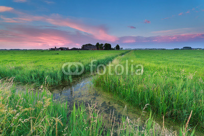 summer sunset over Dutch farmland