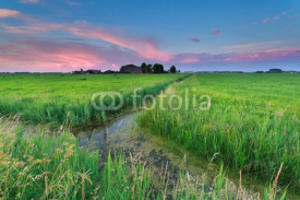 Naklejki summer sunset over Dutch farmland