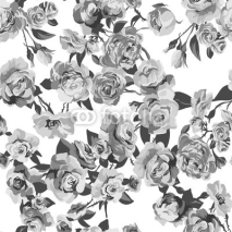 Obrazy i plakaty Beautiful Seamless Rose Background