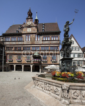 Fototapety Tübingen Neptunbrunnen vor dem Rathaus