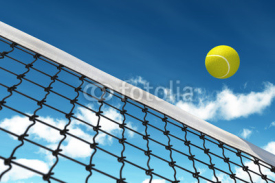 Naklejki Tennis Ball over Net