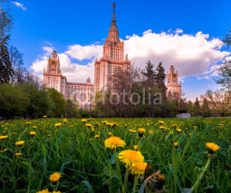 Sunset campus of Lomonosov Moscow State University under cloudy sky with yellow dandelions 