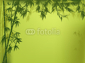 Naklejki green color bamboo illustration