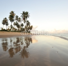 Fototapety Sunset beach