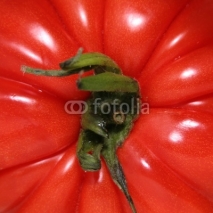 Fototapety tomate