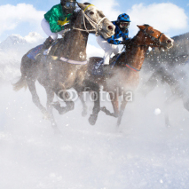 Fototapety Horse Grand Prix