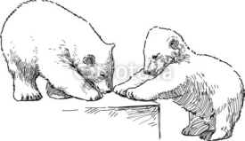 Naklejki white bear cubs