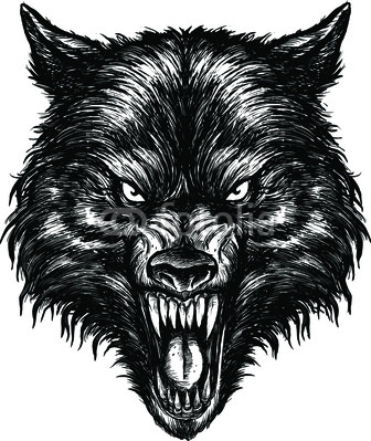 Hand Drawn Wolf Illustration Vector