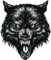 Naklejki Hand Drawn Wolf Illustration Vector