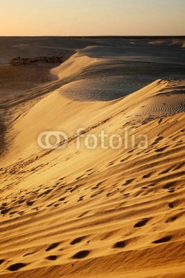 Sand dunes in Sahara