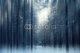 Fototapety magical winter forest, a fairy tale, mystery