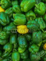 Fototapety Bell peppers