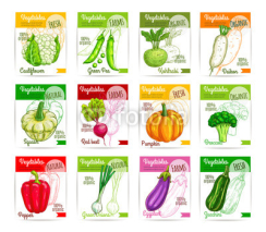 Vegetables vector price cards or labels set