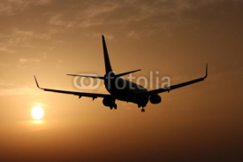 Naklejki Airplane landing at sunset